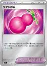 Payapa Berry 677