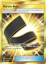 Karate Belt 252